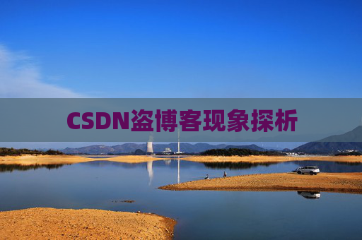 CSDN盗博客现象探析